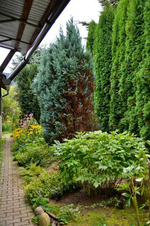 Apartament Karina Tylicz Dış mekan fotoğraf